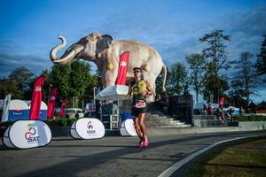 BIB: 
                            <button type="button" onclick="openModal(26541612)" class="btn btn-primary btn-sm float-right btn-popup" data-toggle="modal" data-target=".modal-high-quality">
                        <i class="fas fa-shopping-cart"></i> Add to Cart
                    </button>
                                            <button type="button" onclick="isThisMe(26541612, true)" class="btn btn-success btn-sm float-right btn-popup btn-isme hidden" data-toggle="tooltip" data-placement="bottom" title="นี่คือรูปของคุณใช่ไหม คลิกที่นี่เพื่อเอาเข้าอัลบั้ม">
                        <i class="fas fa-plus"></i> Add to album
                    </button>
                    <button type="button" onclick="isThisMe(26541612, false)" class="btn btn-warning btn-sm float-right btn-popup btn-isnotme hidden">
                        <i class="fas fa-ban"></i> Remove from album
                    </button>